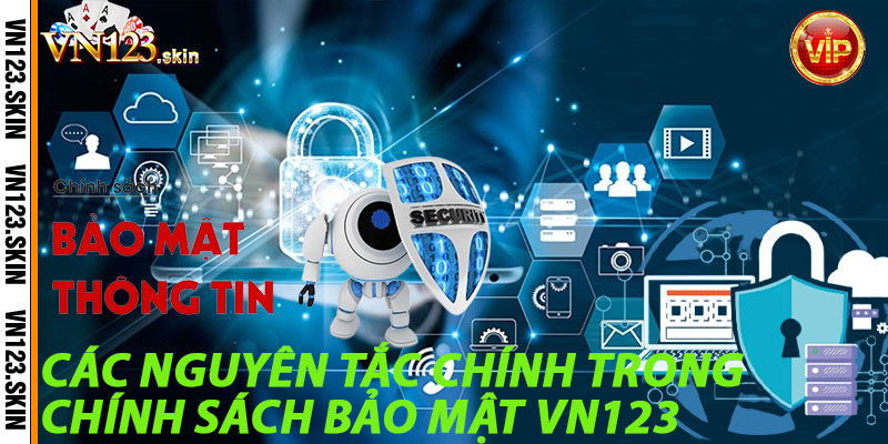 Các Nguyên Tắc Chính trong Chính Sách Bảo Mật VN123