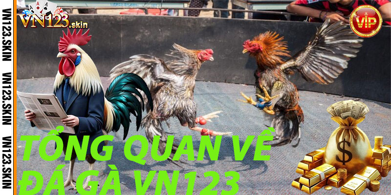 Tổng Quan Về Đá Gà VN123