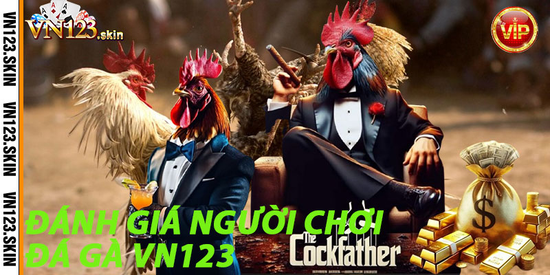 Đánh Giá Người Chơi Đá Gà VN123